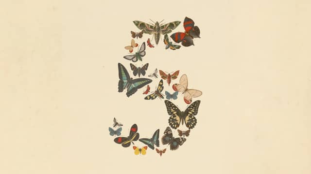 Anthropic Releases Claude Fable 5 to the Public While Keeping Mythos 5 on a Tight Leash